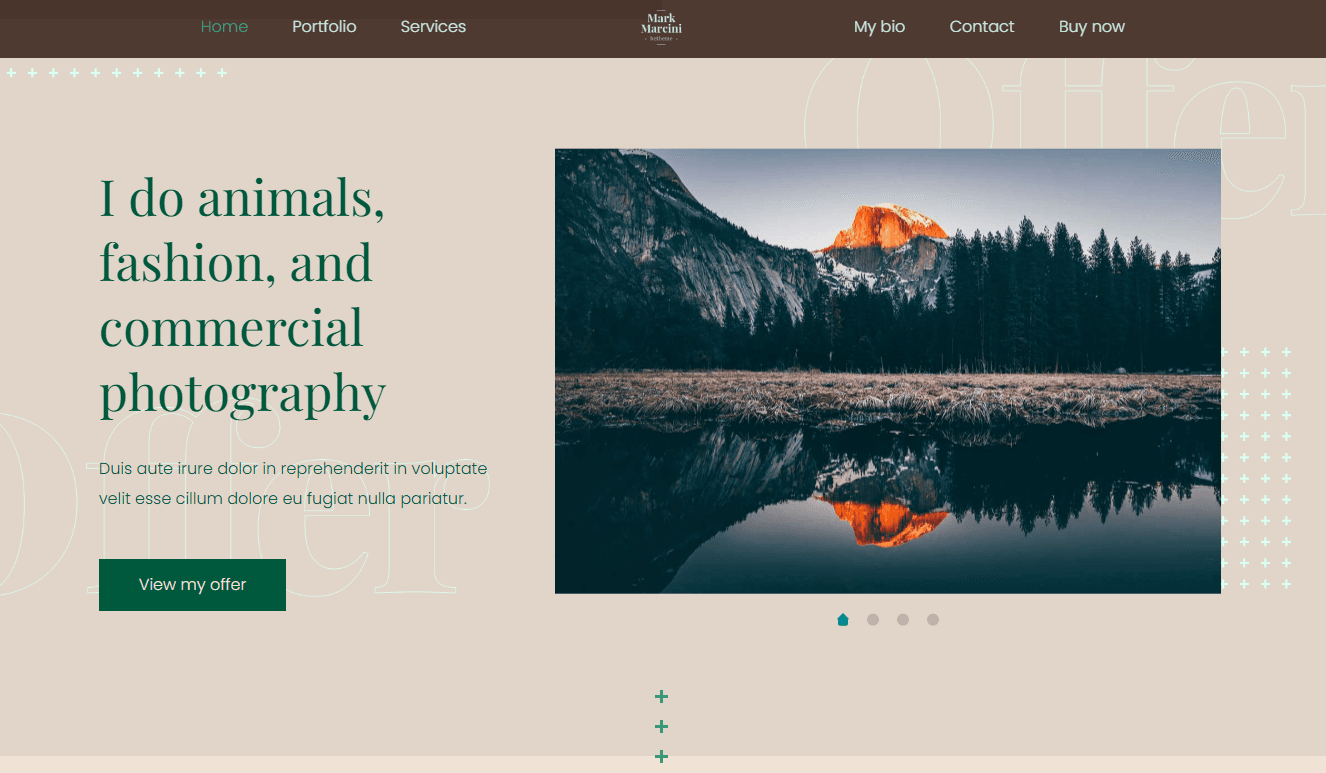 Screenshot 4 - Siti Web per Fotografi